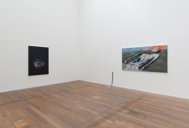 Installation view of paintings by Louisa Gagliardi