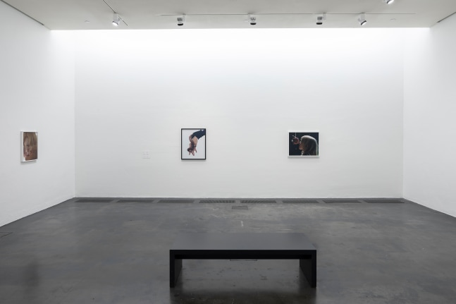 Installation view of photographs by Torbjørn Rødland