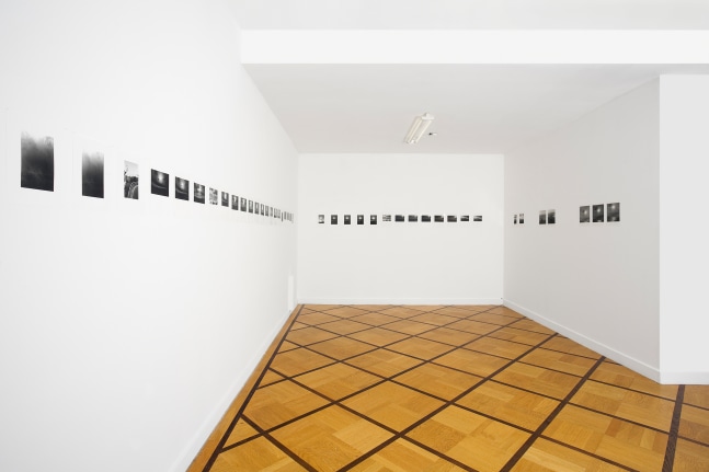 Installation view of wall works by Trisha Donnelly