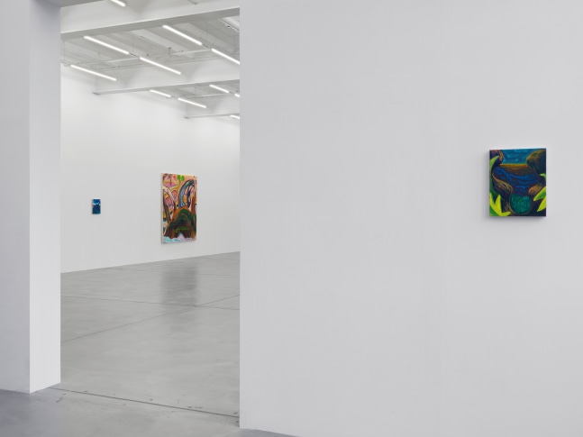 Installation view of Shara Hughes paintings exhibition