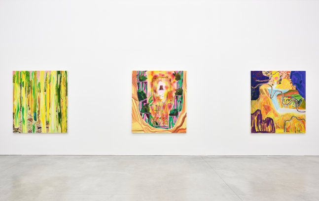 Installation view of Paintings by Shara Hughes