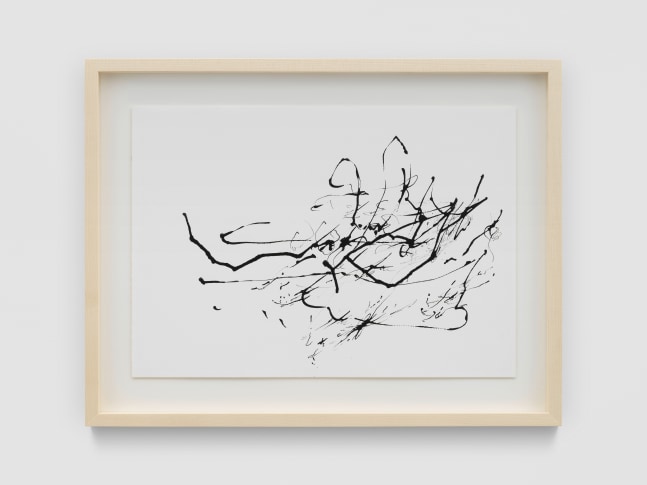 Journals Journeys 4

2024

Acrylic ink on paper

Sheet 29.5 x 42 cm / 11 3/4 x 16 1/2 in

Frame 40 x 51.5 x 4 cm / 15 3/4 x 20 3/8 x 1 5/8 in

&amp;copy; Chemu Ng&amp;#39;ok