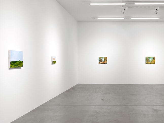Installation view of Karen Kilimnik paintings exhibition