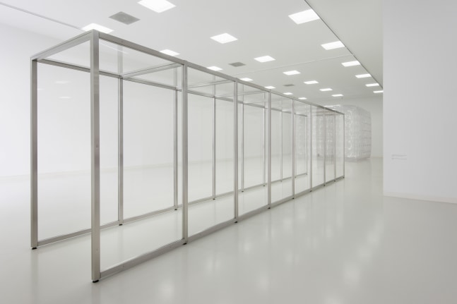 Installation view of wall works by Gerwald Rockenschaub