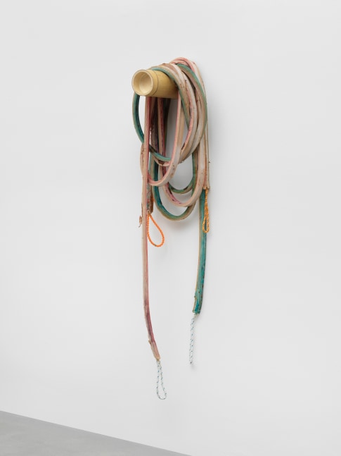 Loop 2

2021

Latex, rope, bamboo, pigment, talcum

Installation dimensions variable

&amp;copy; Liesl Raff