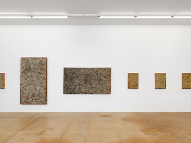 Installation view of wall works by Walead Beshty