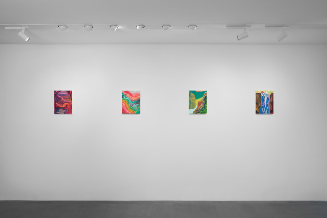 Installation view, Jean-Marie Appriou, Sam Falls, Shara Hughes, Galerie 75 Faubourg, Paris, 2021