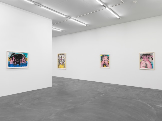 Installation view of Carroll Dunham monotypes exhibition