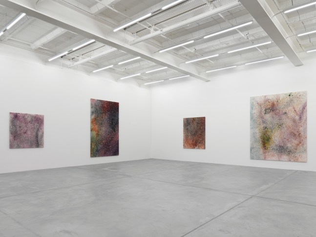 Installation view of Sam Falls paintings exhibition
