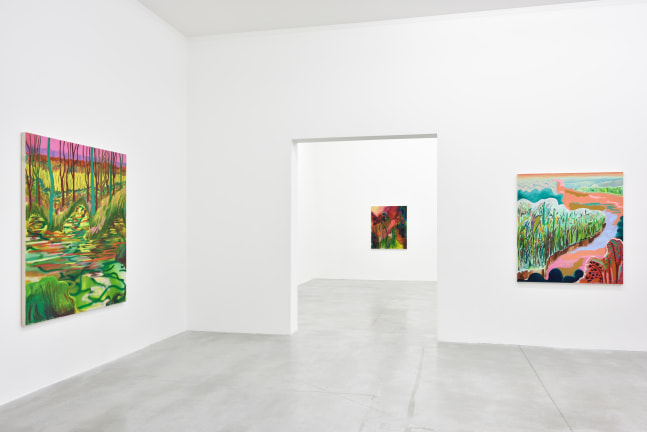 Installation view of Paintings by Shara Hughes