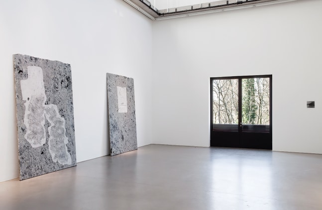 Installation view of sculptures by Trisha Donnelly