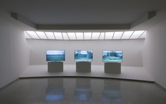 Installation view of sculptures by Peter Fischli and David Weiss