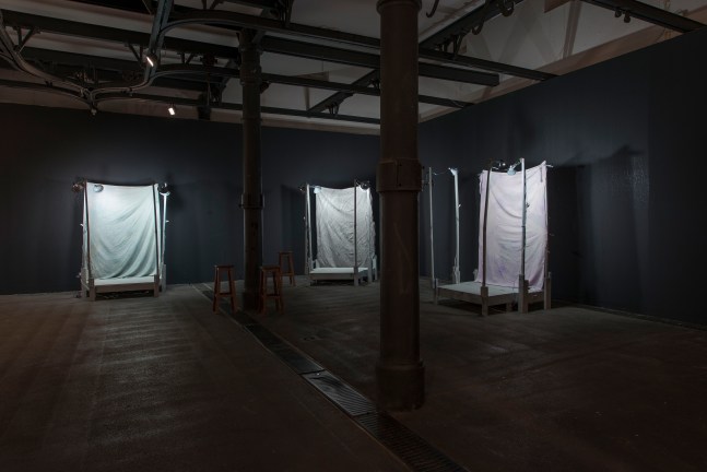 Installation view of paintings by Josh Smith