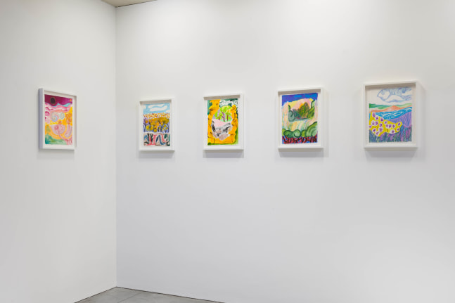 Installation view of Drawings by Shara Hughes