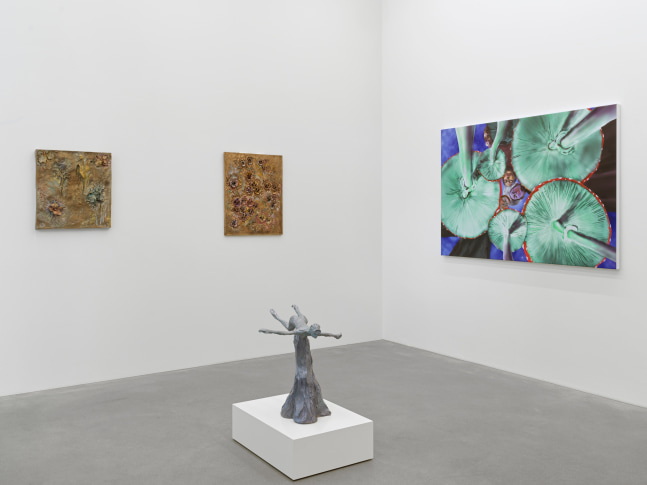 installation views of works by various artist