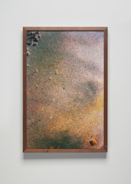 Installation view, Sam Falls, Nothing Without Nature, Cookie Factory, Denver, 2025