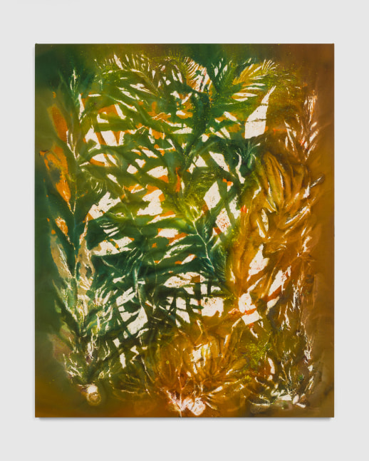 In Sunlight Our Bodies Glide (Rincon)

2025

Pigment on canvas

152.5 x 122 cm / 60 x 48 in

&amp;copy; Sam Falls