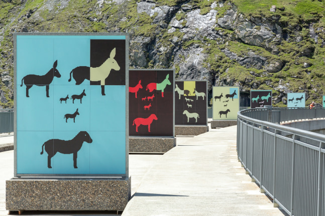 Installation view of works by Valentin Carron