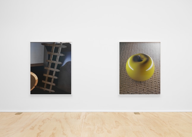 Installation view of Torbjørn Rødland photography and film exhibition