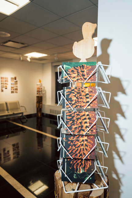 Installation view, Lucas Blalock, Souvenir Cinema, Swiss Consulate, New York, 2025