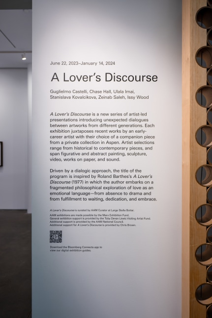 Installation view, Chase Hall, A Lover&amp;#39;s Discourse, Aspen Art Museum, Aspen, 2023