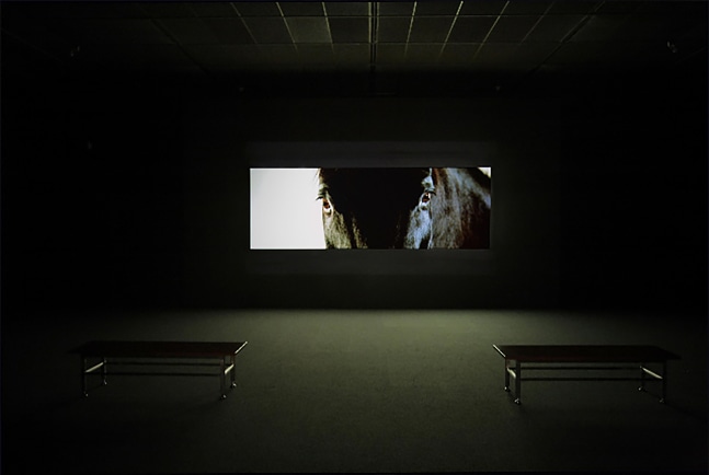 Installation view of Works by Doug Aitken