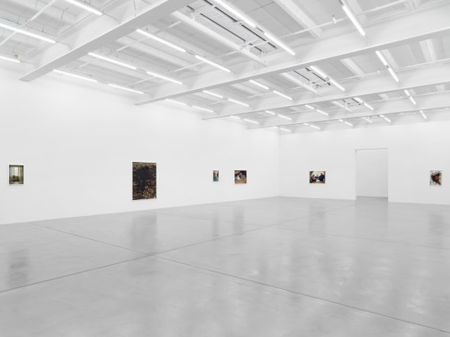 photograph by Torbjørn Rødland