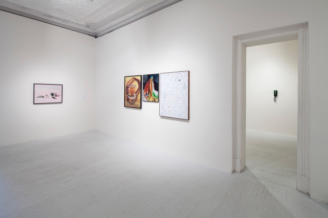 Installation view of Works by Lucas Blalock