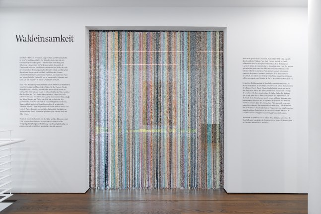 Installation view, Sam Falls, I Feel the Earth Whisper, Museum Frieder Burda, Baden-Baden, 2024