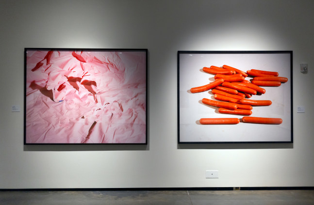 Installation view of Works by Lucas Blalock