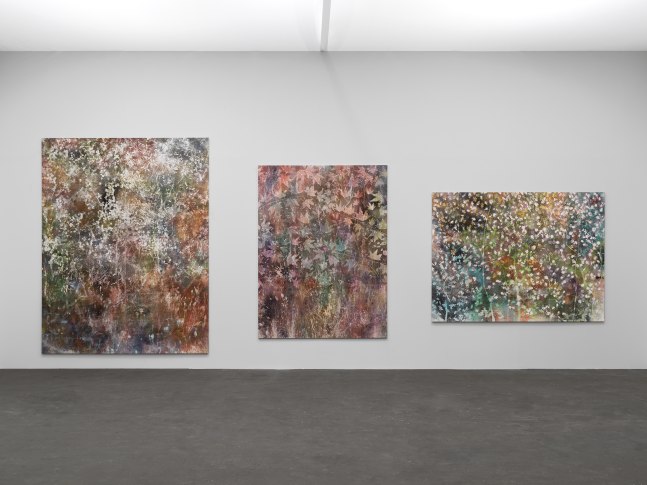 Installation view of paintings by Sam Falls