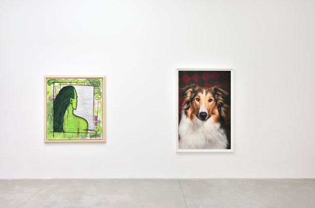 Installation view, Carroll Dunham &amp;amp; Laurie Simmons, Consortium Museum, Dijon, 2024