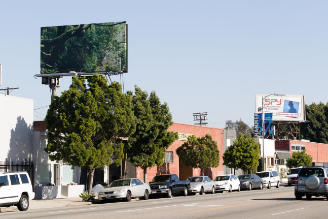 Installation view of video work by Sam Falls