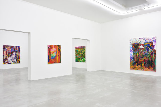 Installation view of Paintings by Shara Hughes