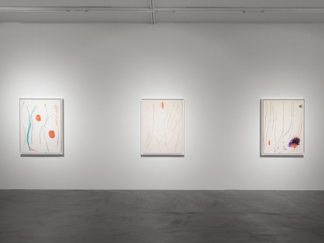 Installation view of Josh Smith paintings exhibition