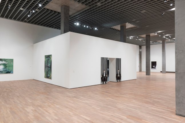 Installation view, Louisa Gagliardi, Many Moons, MASI, Lugano, 2025