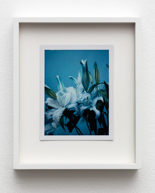 Installation view of works by Sam Falls