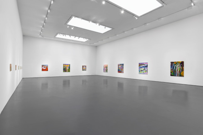 Installation view of Paintings by Shara Hughes