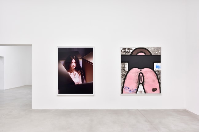 Installation view, Carroll Dunham &amp;amp; Laurie Simmons, Consortium Museum, Dijon, 2024