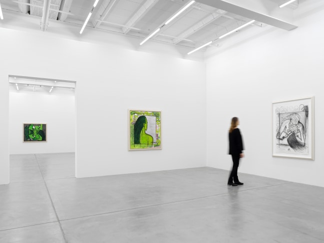 Installation view of paintings and drawings by Carroll Dunham