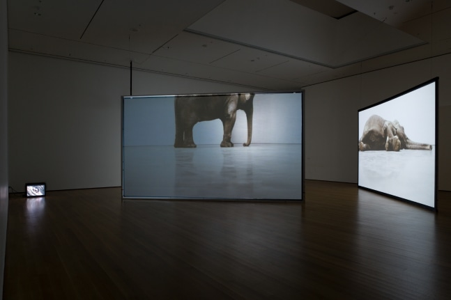 Installation view of video installation by Douglas Gordon