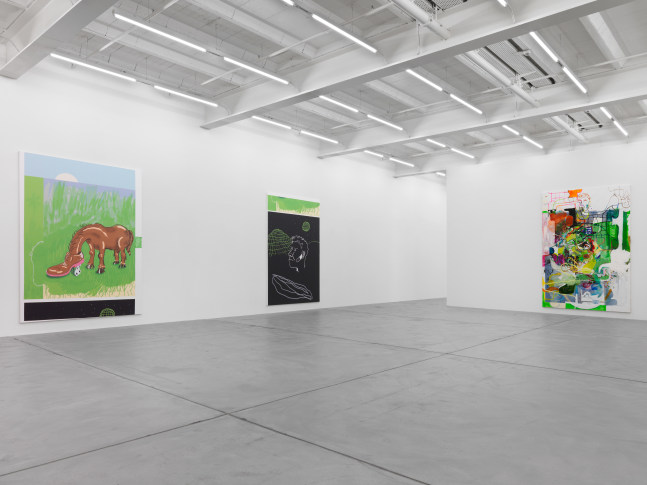 Installation view of Michael Williams paintings exhibition