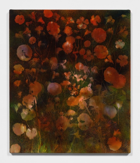 BOLINAS NASTURTIUMS
2020
Pigment on canvas
72.5 x 61.5 x 3 cm / 28 1/2 x 24 1/4 x 1 1/8 inches