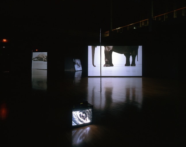 Installation view of video works by Douglas Gordon