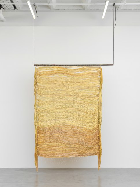 Blind (Yellow)

2023

Latex, steel, yarn, rope, talcum

252 x 185 x 10 cm / 99 1/4 x 72 7/8 x 3 7/8 in

&amp;copy; Liesl Raff