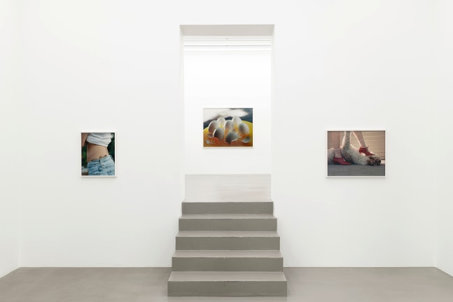 Installation view, Torbj&amp;oslash;rn R&amp;oslash;dland, Slow Life Strategies, Galerie Eva Presenhuber, Vienna, 2025