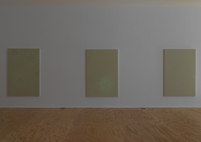 Installation view of paintings by Koo Jeong A