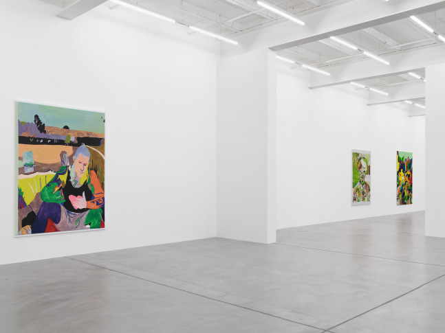 Installation view of Michael Williams paintings exhibition