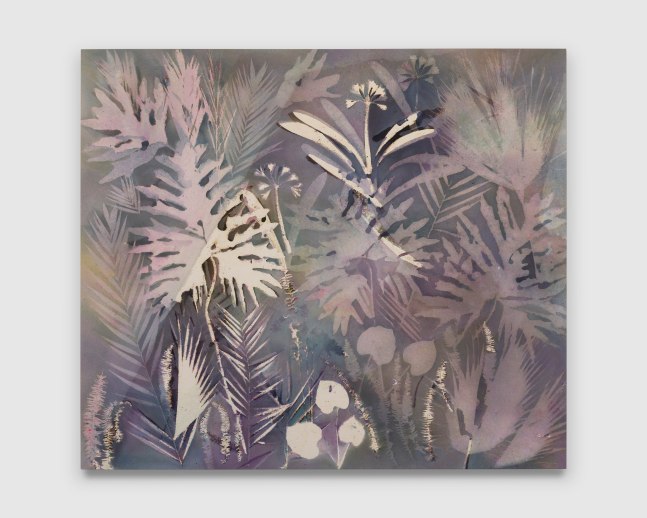 Western Wind

2025

Pigment on canvas

193 x 223 cm / 76 x 87 3/4 in

&amp;copy; Sam Falls