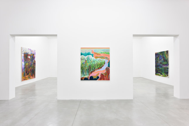 Installation view of Paintings by Shara Hughes